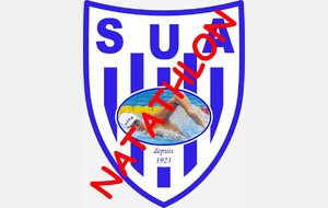 Natathlon 12-13 ans Plot 3/4 à Agen le 12 avril 2015