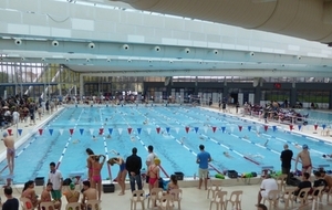 Championnats de France accès piscine et conseils