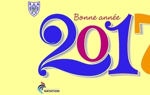 Bonne année 2017 !