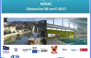 Natathlon départemental des jeunes et écoles de natation - plot n°3 à Nérac le 9 avril 2017