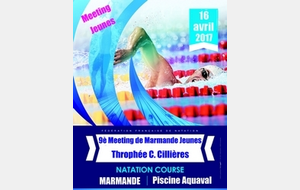 9è Meeting de Marmande - dimanche 16 avril 2017