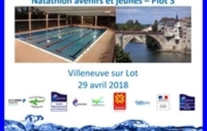 Natathlon plot 3 avenirs et jeunes à Villeneuve sur Lot - 29 avril