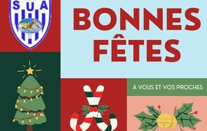 Bonnes fêtes de fin d'année à toutes et tous !!!