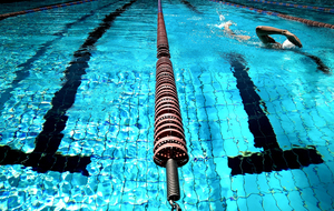 Etape 1 des écoles de natation et &quot;Jeunes&quot; à Agen le 16 octobre 2016