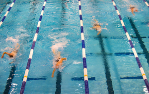 Etape 3 des écoles de natation à Agen le 11 décembre 2016