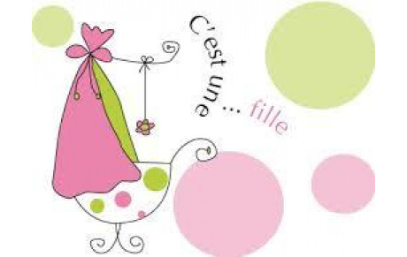 Carnet rose