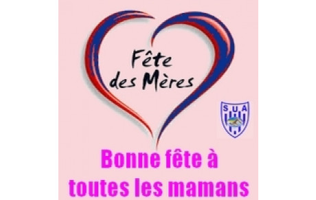 4ème journée qualificative et dernière rencontre des écoles de natation des Clubs du 47 - Agen le 29 mai 2016