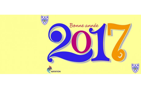 Bonne année 2017 !