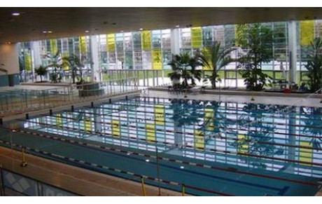 Championnat régional Inteclubs des maitres - dimanche 19 novembre à Bordeaux Grand-Parc