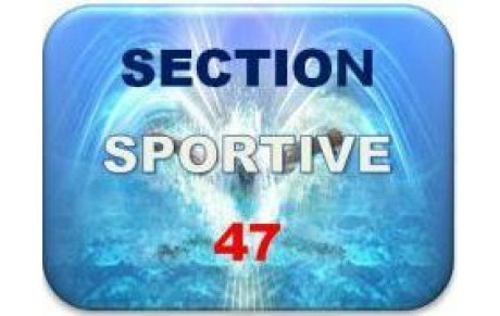 Candidatures section sportive départementale basée à Agen 