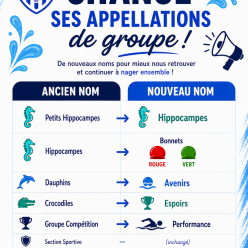 🏊 Nos groupes changent de nom !